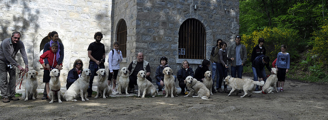 9008101880 d87d6a9f27 z