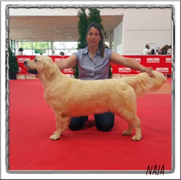 Exposición Internacional Cuijk (Holanda) 2015