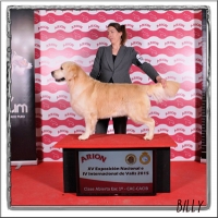 XV Exposición Nacional y IV Exposición Internacional Valls 2015