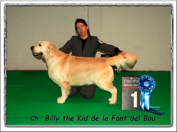 Exposición Internacional Cuijk (Holanda) 2015