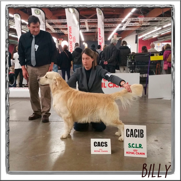 Exposición Internacional Perpignan 2015