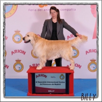 87 Exposición Internacional de Primavera Madrid 2015